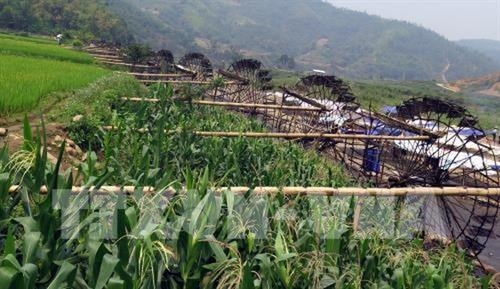 Những cọn nước giống như hàng bánh xe khổng lồ, kẽo kẹt, quay đều không biết mệt mỏi ở Bản Bo. Ảnh: Nguyễn Công Hải - TTXVN Những cọn nước giống như hàng bánh xe khổng lồ, kẽo kẹt, quay đều không biết mệt mỏi ở Bản Bo. Ảnh: Nguyễn Công Hải - TTXVN