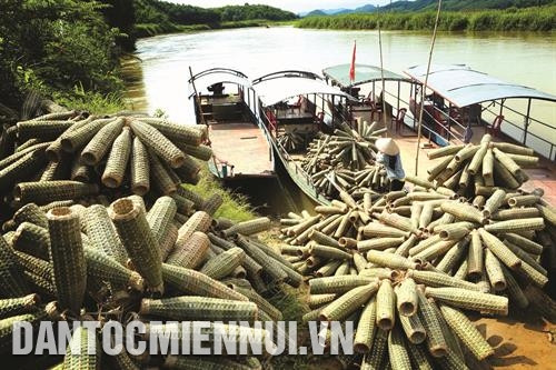 Rọ tôm được vận chuyển sang các xã lân cận ở ven lòng hồ thủy điện Thác Bà để tiêu thụ