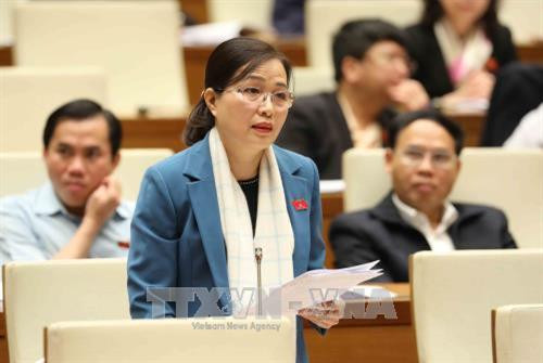 Đại biểu Quốc hội tỉnh Quảng Ninh Đỗ Thị Lan phát biểu ý kiến. Ảnh: Phương Hoa - TTXVN Đại biểu Quốc hội tỉnh Quảng Ninh Đỗ Thị Lan phát biểu ý kiến. Ảnh: Phương Hoa - TTXVN