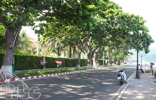 Mứt hạt bàng – Quà du lịch Côn Đảo ảnh 2