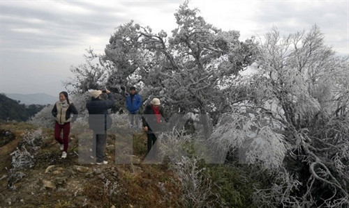 Ảnh minh họa - TTXVN Ảnh minh họa - TTXVN