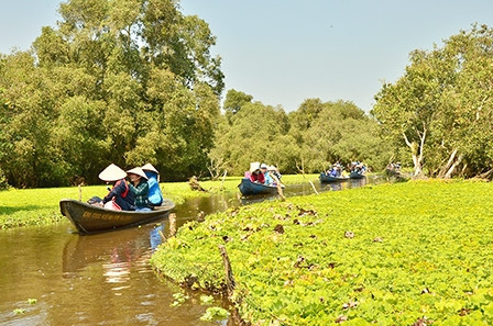 Độc đáo “rừng nổi” Trà Sư ảnh 1 Độc đáo “rừng nổi” Trà Sư ảnh 1