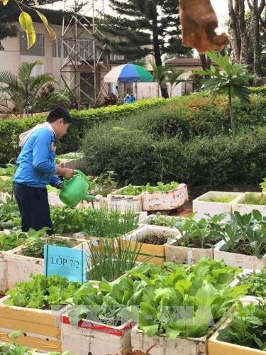 Đội viên trồng rau gây quỹ giúp đỡ các bạn khó khăn, vươn lên trong học tập. Ảnh: Hồng Điệp – TTXVN Đội viên trồng rau gây quỹ giúp đỡ các bạn khó khăn, vươn lên trong học tập. Ảnh: Hồng Điệp – TTXVN