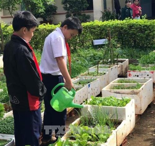 Đội viên trồng rau gây quỹ giúp đỡ các bạn khó khăn, vươn lên trong học tập. Ảnh: Hồng Điệp – TTXVN Đội viên trồng rau gây quỹ giúp đỡ các bạn khó khăn, vươn lên trong học tập. Ảnh: Hồng Điệp – TTXVN