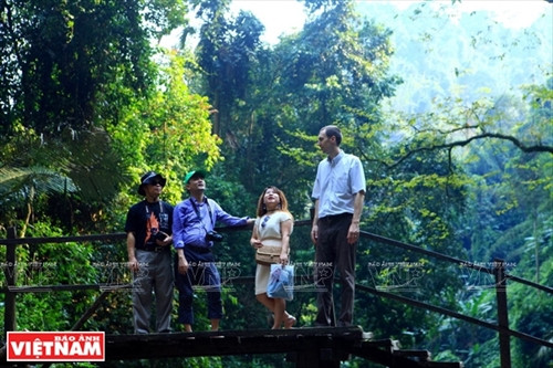 Khu rừng săng lẻ cổ thụ có diện tích hơn 70 ha, thuộc Vườn quốc gia Pù Mát.Thời điểm thích hợp để khám phá vẻ đẹp cánh rừng săng lẻ thường vào mùa Hè và mùa Thu. Hai nữ du khách Pháp biết đến Vườn quốc gia Pù Mát qua internetvà họ tự lên kế hoạch sang Việt Nam để khám phá vẻ đẹp núi rừng nơi đây. Thác Khe Kèm là điểm đến mà du khách không thể bỏ qua khi đến thăm Pù Mát. Theo thống kê của UBNDhuyện Con Cuông, trong năm 2016 có hơn 45.000 lượt du khách trong và ngoài nước đã ghé thăm nơi đây. Bia Ma Nhai (tên đầy đủ: Ma Nhai kỷ công bia văn) được khắc trực tiếp trên núi đá Thành Nam, xã Chi Khê,huyện Con Cuông (Nghệ An), ghi dấu chiến thắng quân Ai Lao của Thái thượng hoàng Trần Minh Tông (1300-1357).Văn bia này do Hoàng giáp Nguyễn Trung Ngạn (1289-1370) soạn thảo và cho khắc vào mùa Đông năm Ất Hợi (1335).Trải qua hơn 7 thế kỷ, những nét khắc trên núi đá vẫn trường tồn với thời gian. Du khách thích thú ghi lại hình ảnh nhũ đá có hình thù độc đáo bên cạnh bia Ma Nhai. Rừng nguyên sinh Pù Mát có hệ thực vật đa dạng, phong phú với gần 2.500 loài, thuộc 160 họ, trong đó có nhiều loài đặc hữu. Du khách đến thăm bản Xiềng (xã Môn Sơn, huyện Con Cuông) khám phá nghề dệt thổ cẩm của bà con dân tộc Thái. Du khách Brian Bean (Mỹ) thích thú tìm mua những sản phẩm thổ cẩm truyền thống của người Thái ở bản Xiềng. Những cô gái Thái ở bản Rạn (thị trấn Con Cuông) biểu diễn những điệu múa truyền thống phục vu du khách. Món tôm khe hấp là một trong những đặc sản nổi tiếng của sông Giăng. Món canh cá Mát sông Giăng ngon nổi tiếng ở vùng Con Cuông.