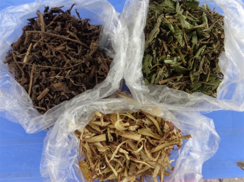 Cách giải độc gan bằng thảo dược dễ kiếm ảnh 2