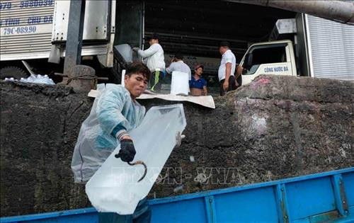Người dân vận chuyển đá lạnh lên tàu chuẩn bị chuyến đánh bắt ở vùng biển xa bờ. Ảnh: Nguyễn Dũng – TTXVN Người dân vận chuyển đá lạnh lên tàu chuẩn bị chuyến đánh bắt ở vùng biển xa bờ. Ảnh: Nguyễn Dũng – TTXVN