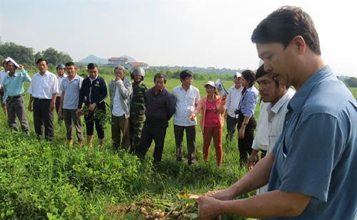 Trung tâm Khuyến nông tỉnh triển khai mô hình trồng đậu phộng tại xã Sơn Thành Tây (huyện Tây Hòa). Ảnh: baophuyen.com.vn Trung tâm Khuyến nông tỉnh triển khai mô hình trồng đậu phộng tại xã Sơn Thành Tây (huyện Tây Hòa). Ảnh: baophuyen.com.vn