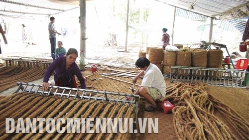 Phân loại lác sau khi thu hoạch tại xã Ðức Mỹ, huyện Càng Long. Ảnh: An Hiếu Mô hình cánh đồng mẫu lớn tại xã Phước Hưng, huyện Trà Cú. Ảnh: An Hiếu Người dân ở xã Ðức Mỹ, huyện Càng Long dệt thảm từ sơ dừa. Ảnh: An Hiếu Phân loại lác sau khi thu hoạch tại xã Ðức Mỹ, huyện Càng Long. Ảnh: An Hiếu Mô hình cánh đồng mẫu lớn tại xã Phước Hưng, huyện Trà Cú. Ảnh: An Hiếu Người dân ở xã Ðức Mỹ, huyện Càng Long dệt thảm từ sơ dừa. Ảnh: An Hiếu