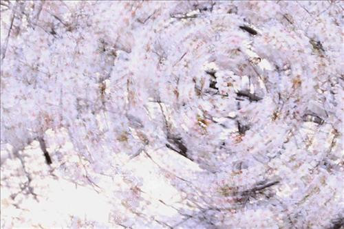 Hoa anh đào nở rộ trên sông Meguro, thủ đô Tokyo, Nhật Bản, ngày 3/4/2019. Ảnh: THX/ TTXVN Hoa anh đào nở rộ tại thủ đô Tokyo, Nhật Bản, ngày 27/3/2019. Ảnh: Kyodo/ TTXVN Người dân chiêm ngưỡng vẻ đẹp của hoa anh đào tại Tokyo, Nhật Bản, ngày 30/3/2019. Ảnh: Kyodo/ TTXVN Hoa anh đào nở rộ trên sông Meguro, thủ đô Tokyo, Nhật Bản, ngày 3/4/2019. Ảnh: THX/ TTXVN Hoa anh đào nở rộ tại thủ đô Tokyo, Nhật Bản, ngày 27/3/2019. Ảnh: Kyodo/ TTXVN Người dân chiêm ngưỡng vẻ đẹp của hoa anh đào tại Tokyo, Nhật Bản, ngày 30/3/2019. Ảnh: Kyodo/ TTXVN