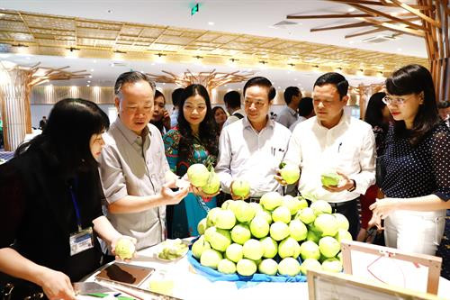 Các đại biểu tham quan gian trưng bày sản phẩm nông nghiệp tại Hội nghị về kết nối cung - cầu nông sản thực phẩm và giải pháp phát triển, tiêu thụ sản phẩm nông nghiệp bền vững của Thành phố Hà Nội năm 2018. Các đại biểu tham quan gian trưng bày sản phẩm nông nghiệp tại Hội nghị về kết nối cung - cầu nông sản thực phẩm và giải pháp phát triển, tiêu thụ sản phẩm nông nghiệp bền vững của Thành phố Hà Nội năm 2018.