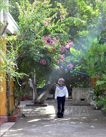Sắc hoa ngập tràn giữa trời xuân Trường Sa. Ảnh: Quang Thái – TTXVN Sắc hoa ngập tràn giữa trời xuân Trường Sa. Ảnh: Quang Thái – TTXVN