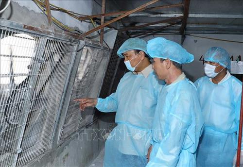 Thủ tướng Nguyễn Xuân Phúc đi kiểm tra tình hình phòng, chống dịch tả lợn Châu Phi xã Hợp tác xã nông nghiệp hữu cơ Tiên Dương. Ảnh: Thống Nhất - TTXVN Thủ tướng Nguyễn Xuân Phúc đi kiểm tra tình hình phòng, chống dịch tả lợn Châu Phi xã Hợp tác xã nông nghiệp hữu cơ Tiên Dương. Ảnh: Thống Nhất - TTXVN