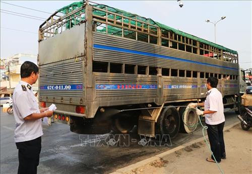 Cán bộ thú y tại chốt kiểm dịch phà Vàm Cống tại (phường Mỹ Thạnh, thành phố Long Xuyên) thực hiện phun hóa chất khủ trùng phương tiện vận chuyển heo trên Quốc lộ 91 trước khi vào thành phố Long Xuyên. Ảnh: Công Mạo-TTXVN Cán bộ thú y tại chốt kiểm dịch phà Vàm Cống tại (phường Mỹ Thạnh, thành phố Long Xuyên) thực hiện phun hóa chất khủ trùng phương tiện vận chuyển heo trên Quốc lộ 91 trước khi vào thành phố Long Xuyên. Ảnh: Công Mạo-TTXVN