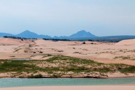 Sơn Hải - nơi đồi cát hùng vĩ chạy ra sát biển đẹp mê hồn ảnh 7