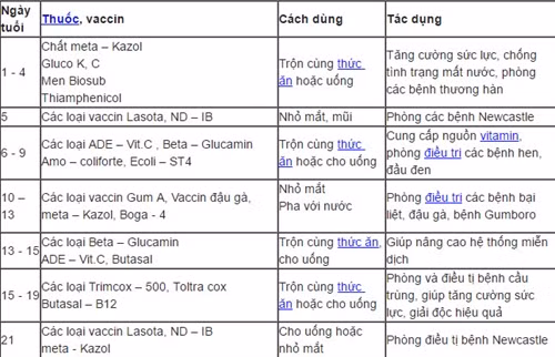 Lịch tiêm vaccin phòng bệnh cho gà