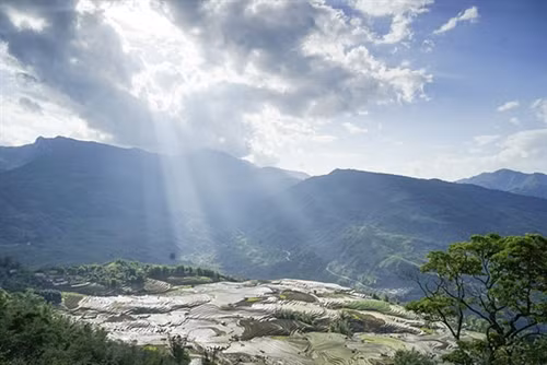 Nông dân xã Mường Hum đi cấy từ sáng sớm. Vào dịp giữa tháng 5, nhiếp ảnh gia lại có mặt tại vùng cao Bát Xát để ghi lại khoảnh khắc đẹp. Đam mê trước những thửa ruộng bậc thang. Đông đảo du khách và nhiếp ảnh gia đến Bát Xát để chụp ảnh ruộng bậc thang. Do thời tiết thuận lợi nên việc cấy lúa được đảm bảo hơn. Khoảnh khắc tuyệt đẹp tại ruộng bậc thang Bát Xát. Dọc đường lên Y Tý, nơi nào có ruộng bậc thang đẹp là các nhiếp ảnh gia lại tranh thủ chụp hình. Chỉ cuối tháng 5 là các thửa ruộng cấy xong.