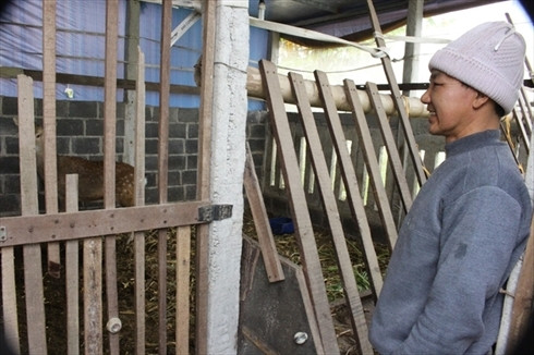 Anh Tám bên chuồng hươu Anh Tám bên chuồng hươu