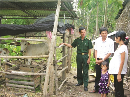 Cung cấp bò giống cho đồng bào khmer nghèo Cung cấp bò giống cho đồng bào khmer nghèo