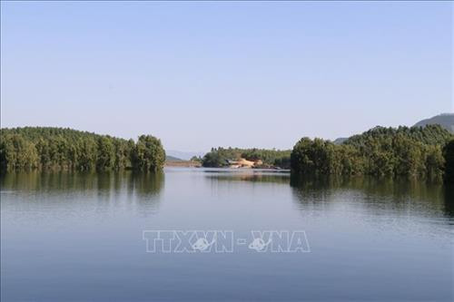 Cây tràm Úc góp phần phủ xanh đất bán ngập trong mùa nước cạn, đồng thời còn để "tiêu diệt" diện tích cây mai dương xâm thực vùng hồ Thác Bà. Ảnh: Đức Tưởng - TTXVN Cây tràm Úc góp phần phủ xanh đất bán ngập trong mùa nước cạn, đồng thời còn để "tiêu diệt" diện tích cây mai dương xâm thực vùng hồ Thác Bà. Ảnh: Đức Tưởng - TTXVN