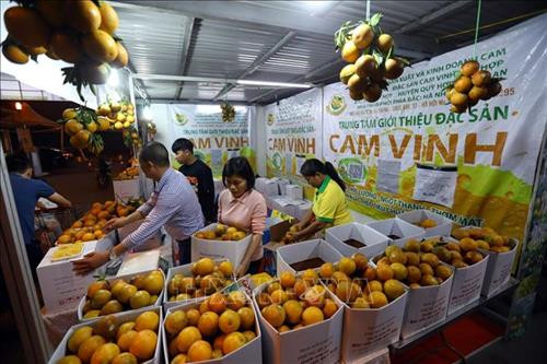 Tham dự Tuần lễ năm nay có gần 90 gian hàng trưng bày giới thiệu các sản vật của tỉnh Nghệ An. Ảnh: Huy Hùng - TTXVN Tham dự Tuần lễ năm nay có gần 90 gian hàng trưng bày giới thiệu các sản vật của tỉnh Nghệ An. Ảnh: Huy Hùng - TTXVN