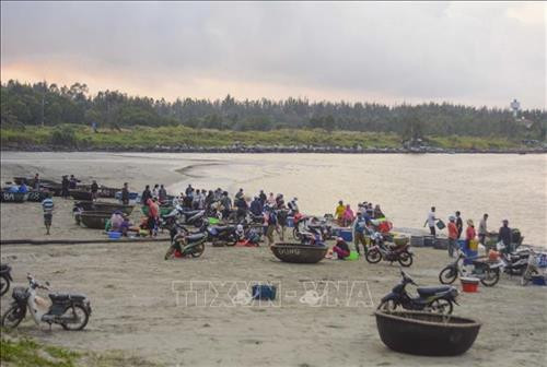 "Chợ ruốc" ở biển Thọ Quang phía dưới chân núi Sơn Trà. Ảnh: Văn Dũng - TTXVN "Chợ ruốc" được họp từ khoảng 1 giờ sáng đến 7 giờ sáng. Ảnh: Văn Dũng - TTXVN Người dân vận chuyển những thúng ruốc tươi lên bờ. Ảnh: Văn Dũng - TTXVN Ruốc biển được thương lái mua để mang về tiêu thụ tại các chợ trên địa bàn thành phố Đà Nẵng. Ảnh: Văn Dũng - TTXVN Ruốc biển tươi. Ảnh: Văn Dũng - TTXVN Với người dân Thọ Quang, mùa ruốc (tép biển) là dịp để tăng thêm thu nhập. Ảnh: Văn Dũng - TTXVN