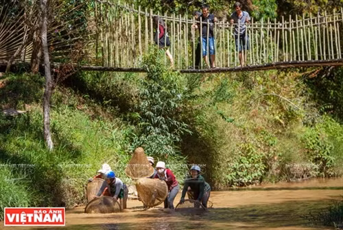 Huyền bí Ma Rừng lữ quán ảnh 7