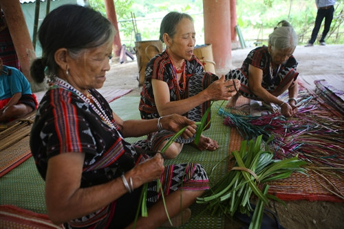 Tước nhỏ sợi dứa để đan chiếu. Tước nhỏ sợi dứa để đan chiếu.