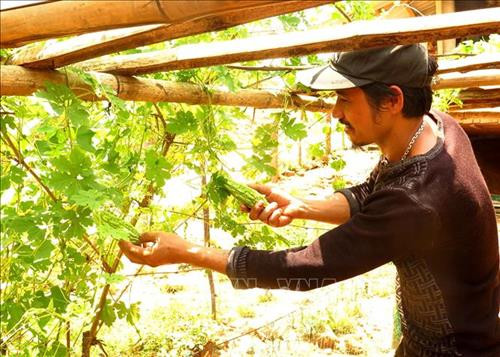 Đồng bào Hre tăng gia sản xuất. Ảnh: Phước Ngọc – TTXVN Đồng bào Hre tăng gia sản xuất. Ảnh: Phước Ngọc – TTXVN