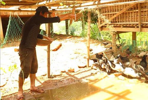 Đồng bào Hre tăng gia sản xuất. Ảnh: Phước Ngọc – TTXVN Đồng bào Hre tăng gia sản xuất. Ảnh: Phước Ngọc – TTXVN