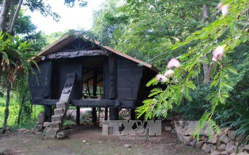 Độc đáo Khu bảo tồn lan rừng Troh Bư ảnh 1 Độc đáo Khu bảo tồn lan rừng Troh Bư ảnh 1