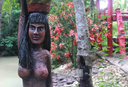 Độc đáo Khu bảo tồn lan rừng Troh Bư ảnh 3 Độc đáo Khu bảo tồn lan rừng Troh Bư ảnh 3