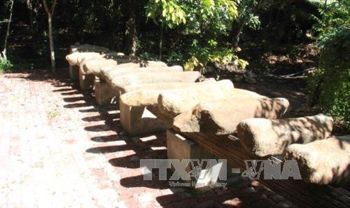 Độc đáo Khu bảo tồn lan rừng Troh Bư ảnh 5 Độc đáo Khu bảo tồn lan rừng Troh Bư ảnh 5