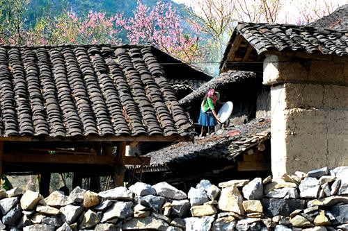 Nhứng mái nhà cổ bên hàng rào bằng đá đặc trưng của người dân trên Cao nguyên đá Đồng Văn. Ảnh: Thanh Hà - TTXVN