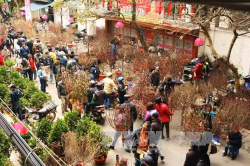 Chợ hoa Tết phố Hàng Lược ảnh 1