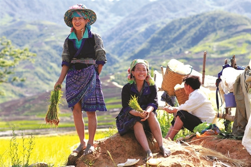 Phút nghỉ ngơi trên những thửa ruộng bậc thang ở thung lũng Khau Phạ Phút nghỉ ngơi trên những thửa ruộng bậc thang ở thung lũng Khau Phạ