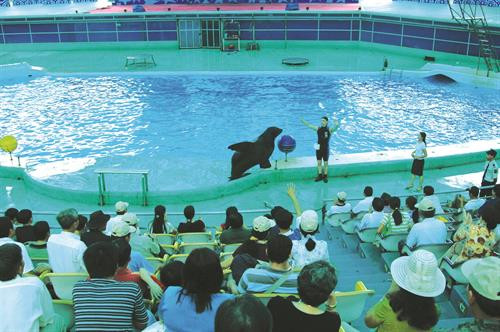 Theo Tổng cục Thống kê (Bộ Kế hoạch và Đầu tư), những tháng đầu năm 2017, vịnh Hạ Long là một trong hai địa điểm tham quan có sức hút đặc biệt của du khách Trung Quốc. Biểu diễn cá heo, hải cẩu, sư tử biển tại Khu vui chơi giải trí quốc tế Tuần Châu - Hạ Long. Vịnh Hạ Long có phong cảnh tuyệt đẹp, là một điểm du lịch hấp dẫn với du khách trong nước và quốc tế. Hạ Long có nhiều khách sạn đạt tiêu chuẩn quốc tế: 4 sao, 5 sao... nằm trên bờ vịnh Hạ Long xinh đẹp. Khách du lịch tham quan vịnh Hạ Long bằng thủy phi cơ. Đảo Mắt Rồng trên vịnn Hạ Long, một điểm đến ẩn giấu nhiều điều kỳ thú, thu hút sự tò mò của không ít nhóm bạn trẻ. Vinpearl Hạ Long Bay Resort - khu nghỉ dưỡng biển 5 sao lớn nhất,miền Bắc với bốn mặt hướng biển độc đa. Quý 1/2017, vịnh Hạ Long đã đón 943.923 lượt khách tham quan, trong đó có 804.939 lượt khách quốc tế. Khu biệt thự nghỉ dưỡng Tuần Châu. Với kiến trúc hiện đại, cầu Bãi Cháy đem lại một nét kiến trúc mới và lãng mạn, góp phần tô điểm và tôn thêm vẻ đẹp cho vịnh Hạ Long. Du khách nước ngoài có ấn tượng tốt khi tham quan, chiêm ngưỡng vịnh Hạ Long. Hang Sửng Sốt được ví như một nhà hát Opera trên vịnh Hạ Long.