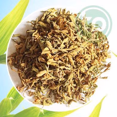 5 công dụng chữa bệnh không ngờ từ hoa đu đủ đực ảnh 4