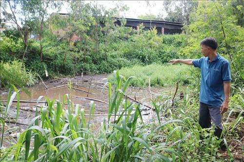 Nước thải sau xử lý Bioga được xả trực tiếp ra môi trường gây mùi hôi thối. Ảnh: Tuấn Anh – TTXVN Nước thải sau xử lý Bioga được xả trực tiếp ra môi trường gây mùi hôi thối. Ảnh: Tuấn Anh – TTXVN