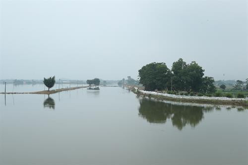 Vùng đất bị ngập lụt thuộc xã Thanh Bình, huyện Chương Mỹ.