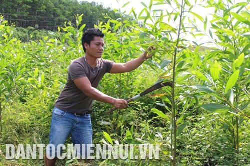 Những ngôi nhà gỗ truyền thống được đồng bào ở xã Trà My, huyện Nam Trà My vận chuyển đến nơi ở mới để dựng lại. Ảnh: Đỗ Trưởng Việc bố trí tái định cư gắn với khu vực sản xuất nhận được sự đồng tình, ủng hộ của đồng bào. Ảnh: Đỗ Trưởng Đồng bào dân tộc ở thôn Pà Căng, xã Cà Dy, huyện Nam Giang được sử dụng nước sạch tại khu tái định cư mới. Ảnh: Đỗ Trưởng