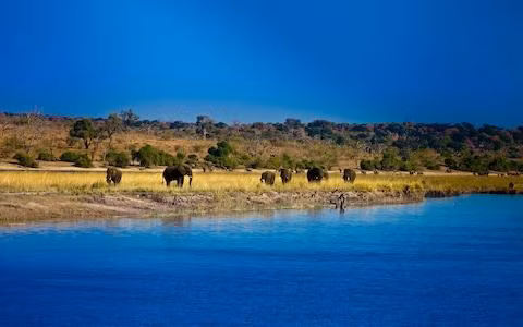 Sông Chobe ở châu Phi. Ảnh: Alamy