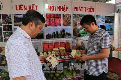 Khách tham quan Hội chợ. Ảnh: Dương Chí Tưởng-TTXVN