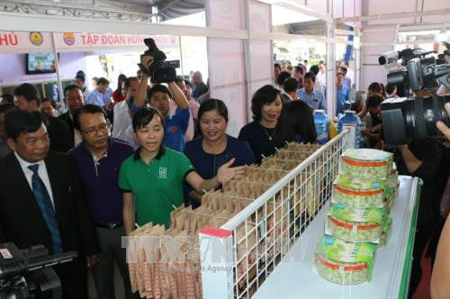 Khách tham quan Hội chợ. Ảnh: Dương Chí Tưởng-TTXVN