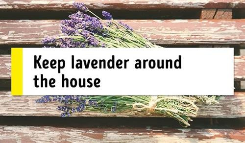 12 mẹo nhỏ giúp bạn dễ ngủ và dễ thức giấc đúng giờ ảnh 9 12 mẹo nhỏ giúp bạn dễ ngủ và dễ thức giấc đúng giờ ảnh 9