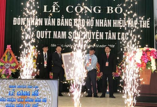Lãnh đạo Sở KH & CN trao văn bằng bảo hộ Nhãn hiệu tập thể Quýt Nam Sơn - Tân Lạc cho chủ sở hữu (Hội Nông dân xã Nam Sơn). Ảnh: baohoabinh.com.vn