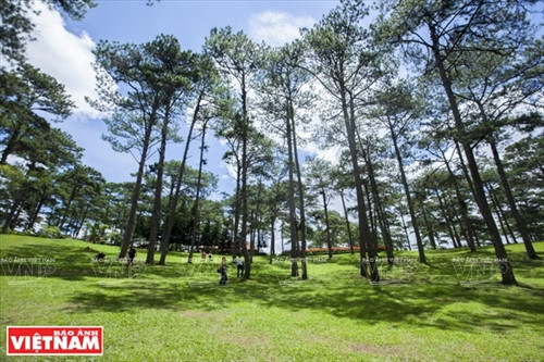 Đến hồ Than Thở nghe "đồi thông kể chuyện tình buồn" ảnh 3