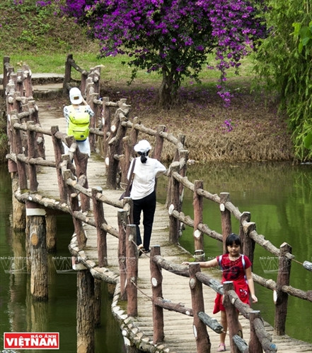 Đến hồ Than Thở nghe "đồi thông kể chuyện tình buồn" ảnh 6