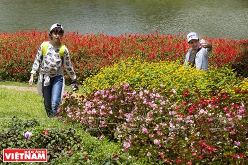 Đến hồ Than Thở nghe "đồi thông kể chuyện tình buồn" ảnh 9