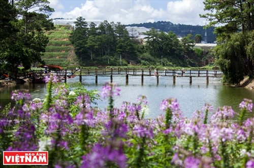 Đến hồ Than Thở nghe "đồi thông kể chuyện tình buồn" ảnh 2